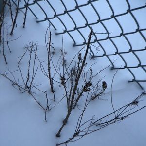 Meet your Posher, Kaylee